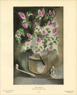 Big_thumb_matisse_branche_de_lilas_feuille