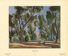 Big_thumb_matisse_oliviers_feuille
